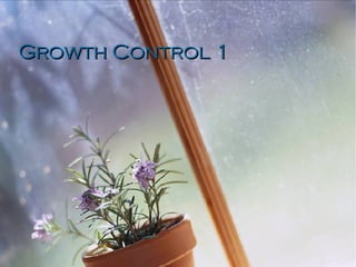 Growth Control 1 