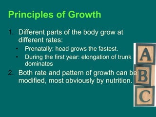 Different parts of the body grow at  different rates: Prenatally: head grows the fastest. During the first year: elongation of trunk dominates Both rate and pattern of growth can be modified, most obviously by nutrition. Principles of Growth 