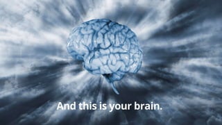 And this is your brain.
 