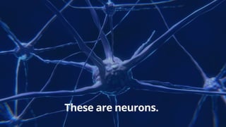 These are neurons.
 