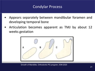 the Growth-of-Mandible in orthodontics ppt | PPT
