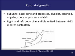the Growth-of-Mandible in orthodontics ppt | PPT