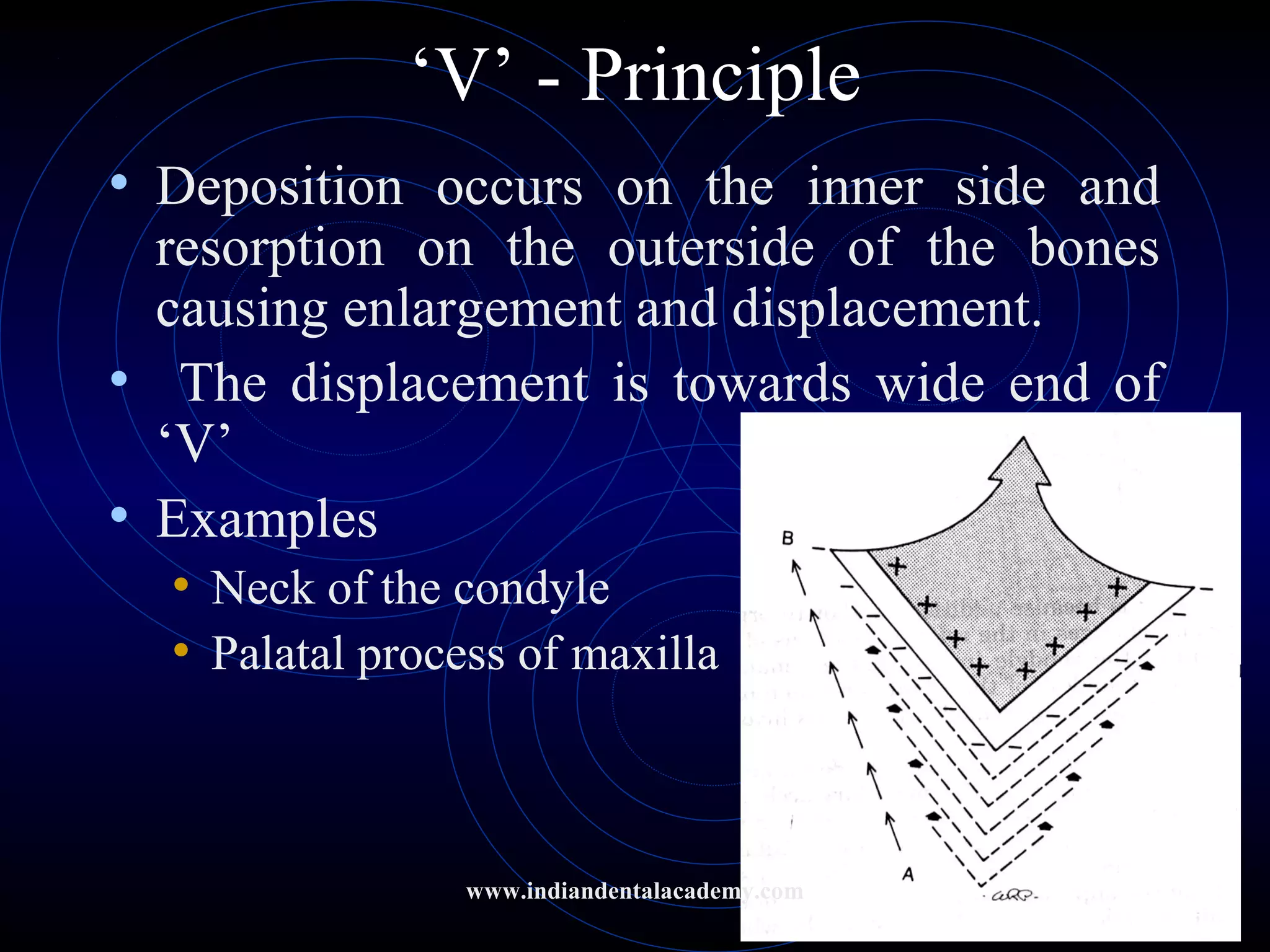 ‘V’ - Principle
• Deposition occurs on the inner side and
resorption on the outerside of the bones
causing enlargement and displacement.
• The displacement is towards wide end of
‘V’
• Examples
• Neck of the condyle
• Palatal process of maxilla
www.indiandentalacademy.com
 