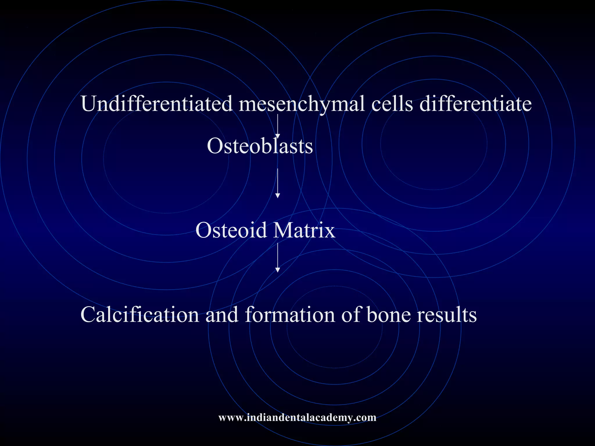 Undifferentiated mesenchymal cells differentiate
Osteoblasts
Osteoid Matrix
Calcification and formation of bone results
www.indiandentalacademy.com
 