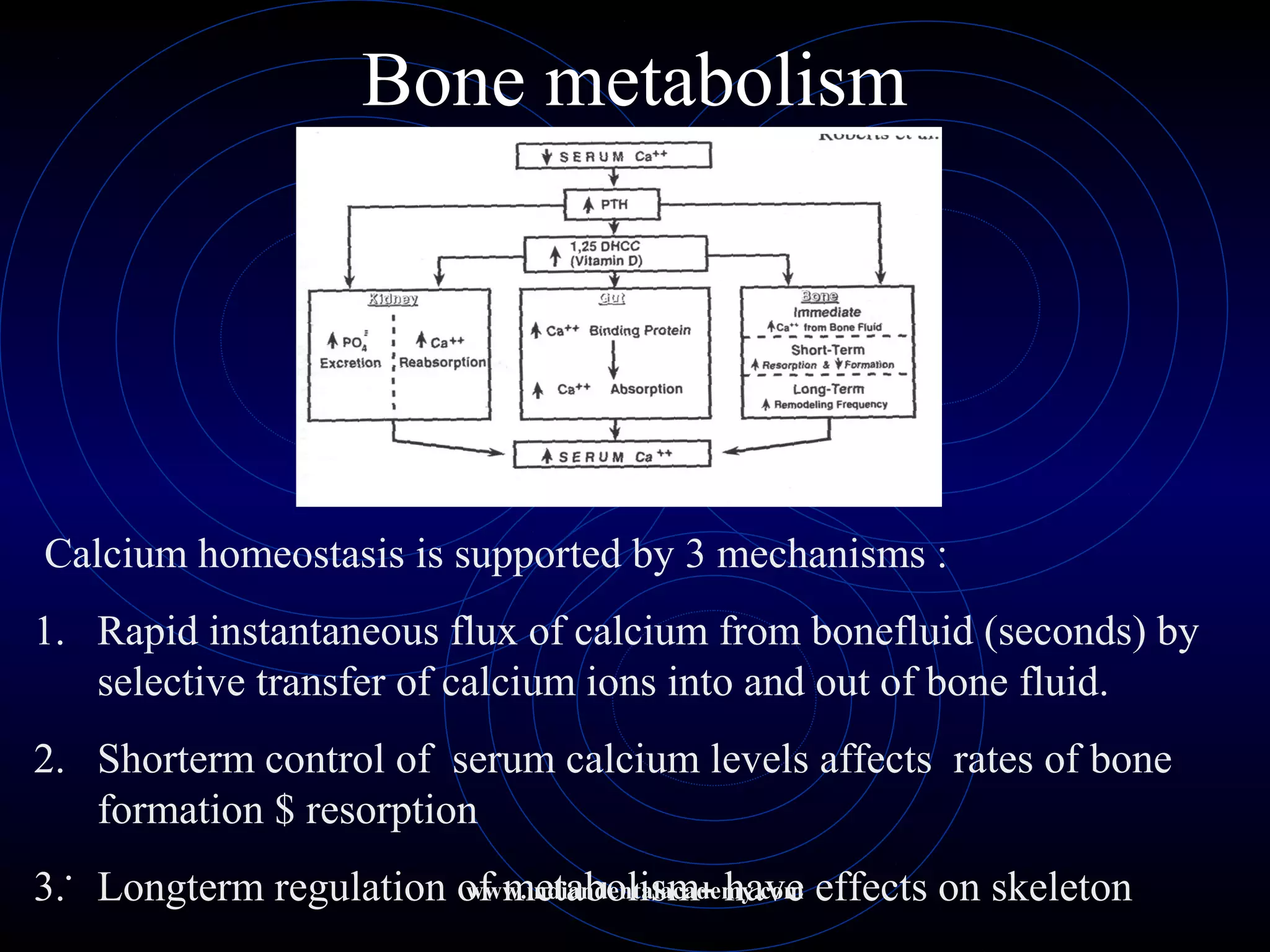 Bone metabolism
Calcium homeostasis is supported by 3 mechanisms :
1. Rapid instantaneous flux of calcium from bonefluid (seconds) by
selective transfer of calcium ions into and out of bone fluid.
2. Shorterm control of serum calcium levels affects rates of bone
formation $ resorption
3. Longterm regulation of metabolism- have effects on skeleton. www.indiandentalacademy.com
 