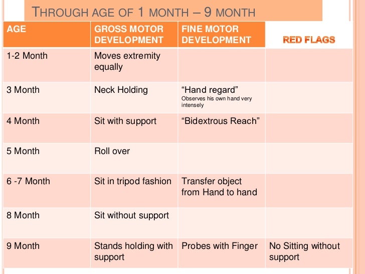childs normal growth development 5 month milestones chart