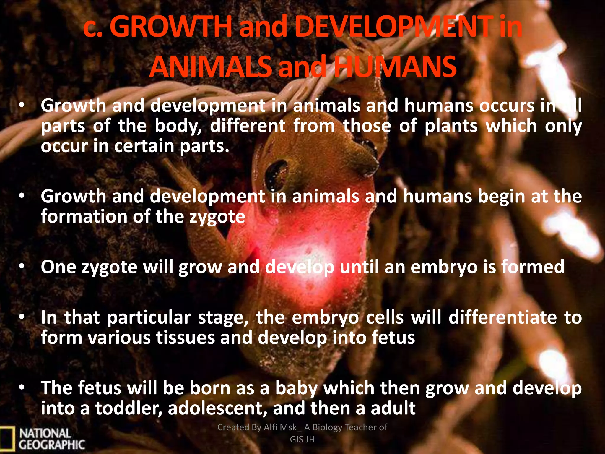 c. GROWTH and DEVELOPMENT in
            ANIMALS and HUMANS
• Growth and development in animals and humans occurs in all
  parts of the body, different from those of plants which only
  occur in certain parts.

• Growth and development in animals and humans begin at the
  formation of the zygote

• One zygote will grow and develop until an embryo is formed

• In that particular stage, the embryo cells will differentiate to
  form various tissues and develop into fetus

• The fetus will be born as a baby which then grow and develop
  into a toddler, adolescent, and then a adult
                       Created By Alfi Msk_ A Biology Teacher of
                                        GIS JH
 