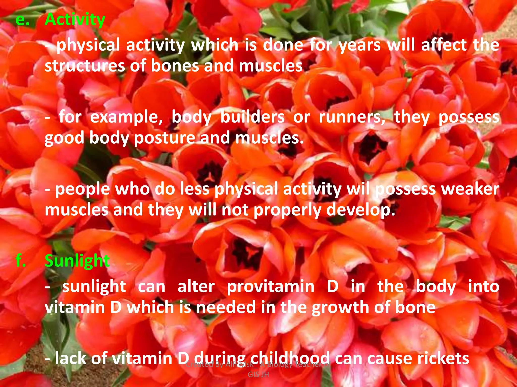 e. Activity
   - physical activity which is done for years will affect the
   structures of bones and muscles

   - for example, body builders or runners, they possess
   good body posture and muscles.

   - people who do less physical activity wil possess weaker
   muscles and they will not properly develop.

f. Sunlight
   - sunlight can alter provitamin D in the body into
   vitamin D which is needed in the growth of bone

   - lack of vitamin DCreated By Alfi Msk_ A Biology Teacher of can cause rickets
                        during childhood
                                        GIS JH
 