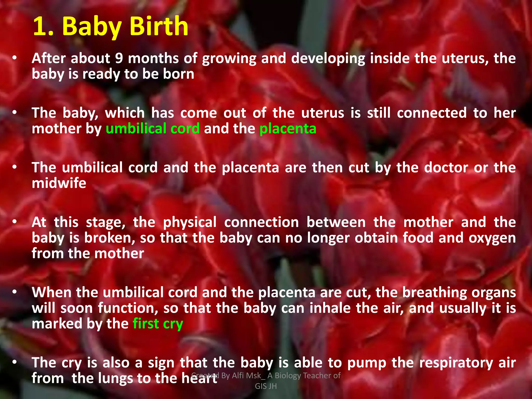 1. Baby Birth
• After about 9 months of growing and developing inside the uterus, the
  baby is ready to be born

• The baby, which has come out of the uterus is still connected to her
  mother by umbilical cord and the placenta

• The umbilical cord and the placenta are then cut by the doctor or the
  midwife

• At this stage, the physical connection between the mother and the
  baby is broken, so that the baby can no longer obtain food and oxygen
  from the mother

• When the umbilical cord and the placenta are cut, the breathing organs
  will soon function, so that the baby can inhale the air, and usually it is
  marked by the first cry

• The cry is also a sign that the baby is able to pump the respiratory air
  from the lungs to the heart By Alfi Msk_ A Biology Teacher of
                           Created
                                       GIS JH
 