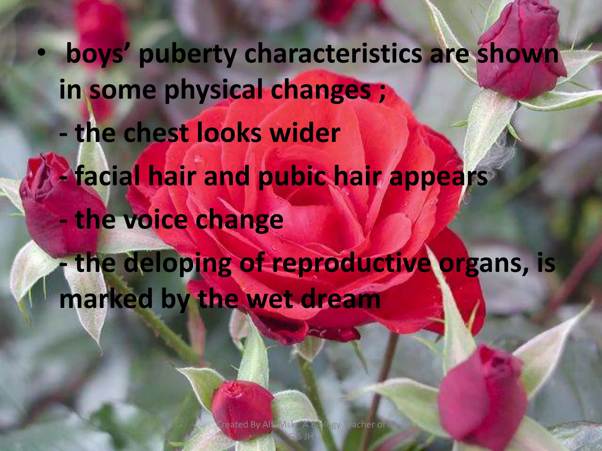 • boys’ puberty characteristics are shown
  in some physical changes ;
  - the chest looks wider
  - facial hair and pubic hair appears
  - the voice change
  - the deloping of reproductive organs, is
  marked by the wet dream


              Created By Alfi Msk_ A Biology Teacher of
                               GIS JH
 