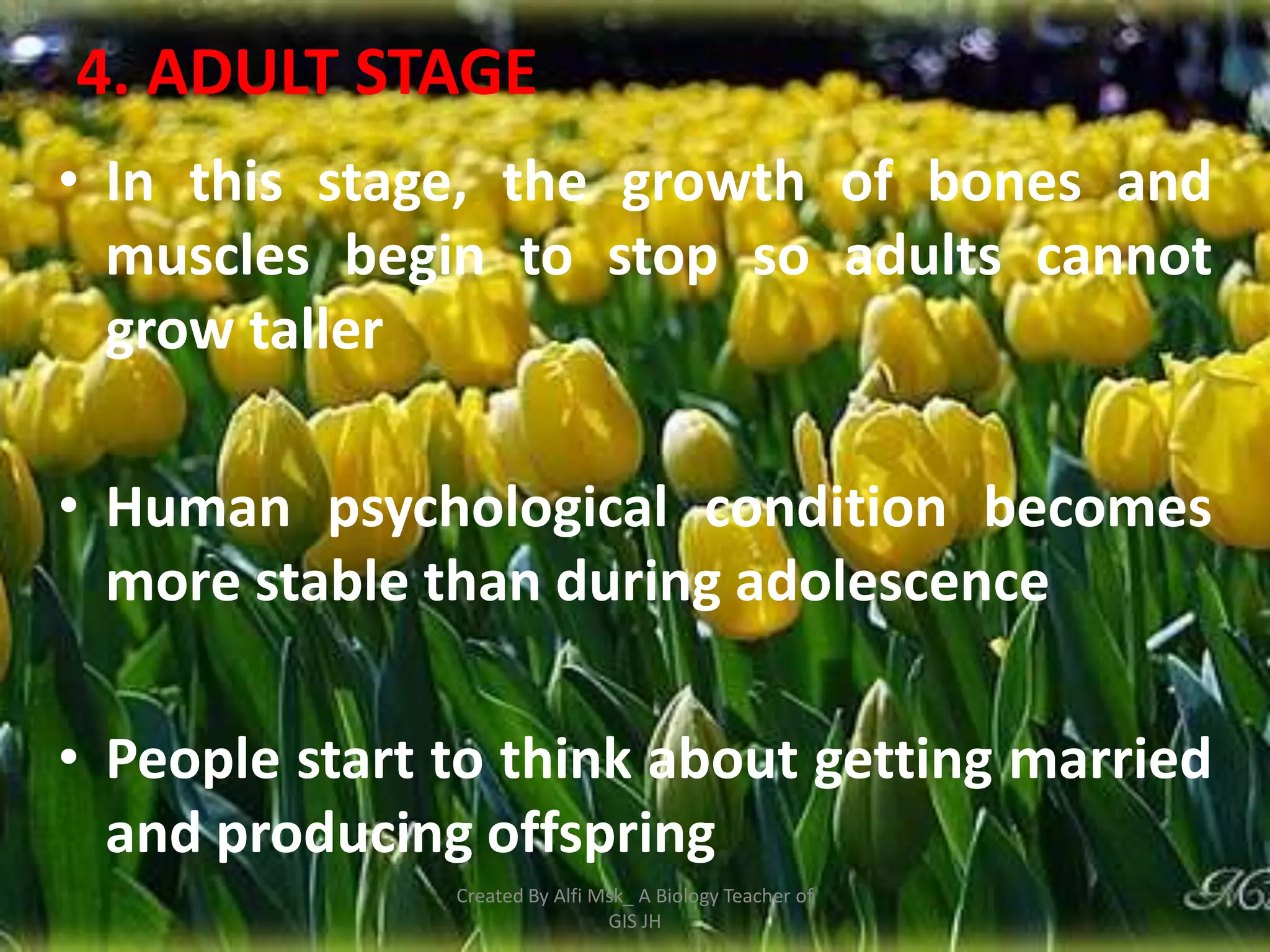 4. ADULT STAGE
• In this stage, the growth of bones and
  muscles begin to stop so adults cannot
  grow taller

• Human psychological condition becomes
  more stable than during adolescence

• People start to think about getting married
  and producing offspring
               Created By Alfi Msk_ A Biology Teacher of
                                GIS JH
 