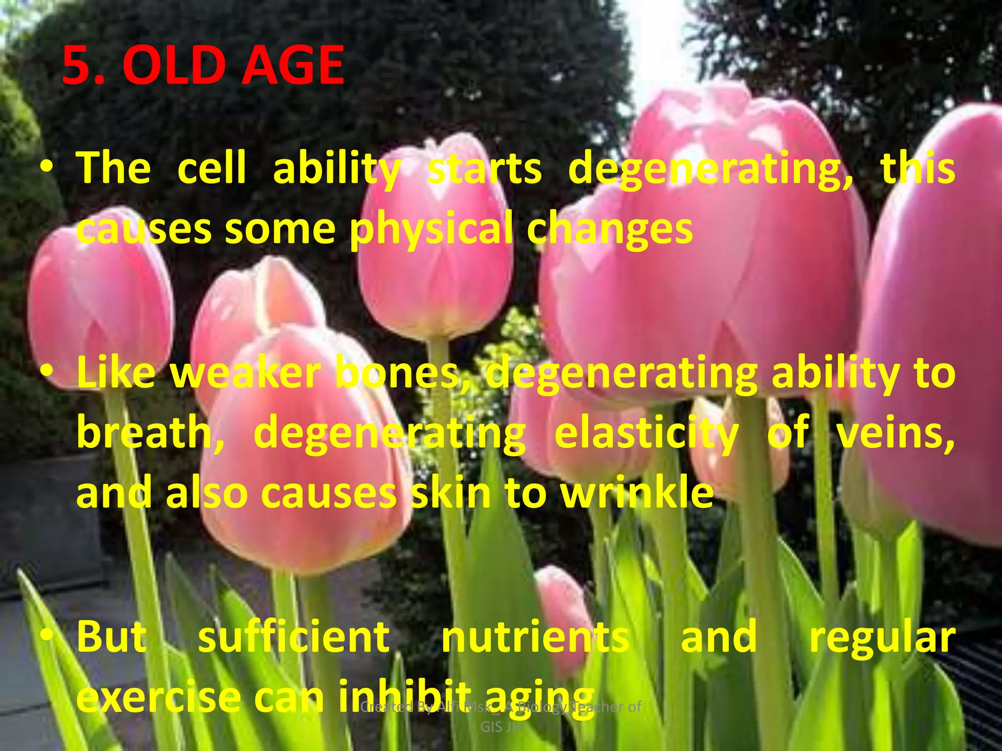 5. OLD AGE
• The cell ability starts degenerating, this
  causes some physical changes

• Like weaker bones, degenerating ability to
  breath, degenerating elasticity of veins,
  and also causes skin to wrinkle

• But sufficient nutrients and regular
  exercise can inhibit aging
               Created By Alfi Msk_ A Biology Teacher of
                                GIS JH
 