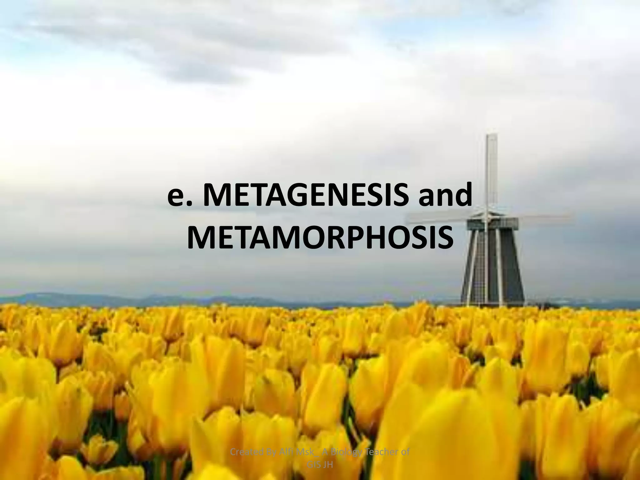 e. METAGENESIS and
 METAMORPHOSIS




   Created By Alfi Msk_ A Biology Teacher of
                    GIS JH
 
