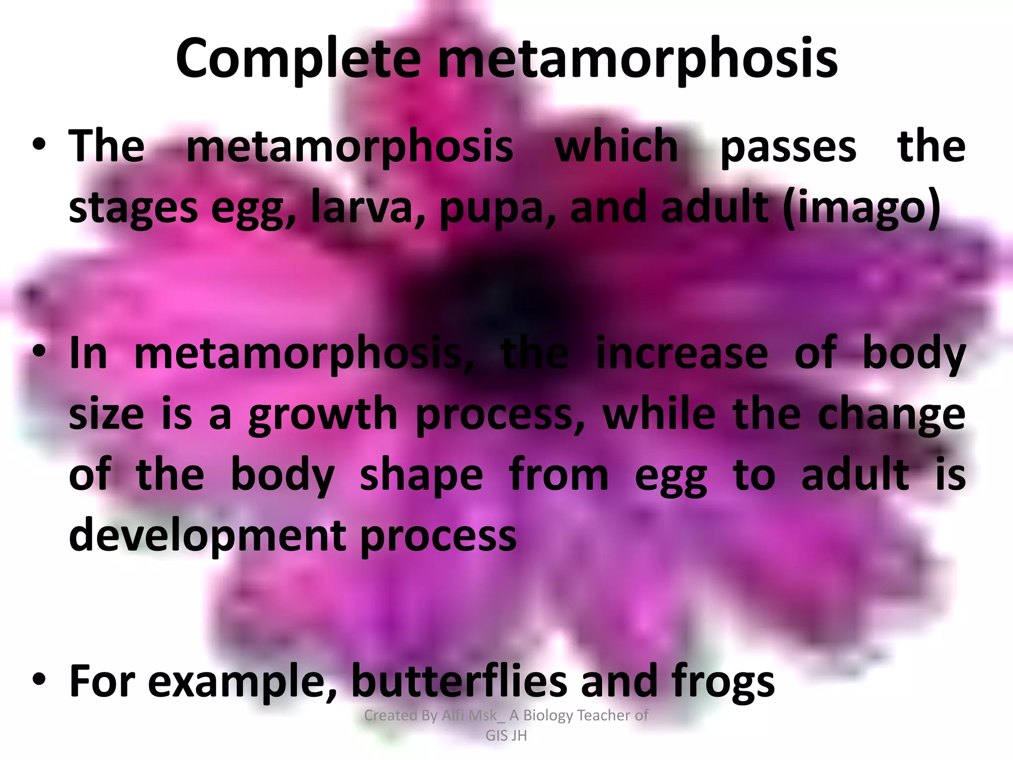 Complete metamorphosis
• The metamorphosis which passes the
  stages egg, larva, pupa, and adult (imago)

• In metamorphosis, the increase of body
  size is a growth process, while the change
  of the body shape from egg to adult is
  development process

• For example, butterflies and frogs
                Created By Alfi Msk_ A Biology Teacher of
                                 GIS JH
 