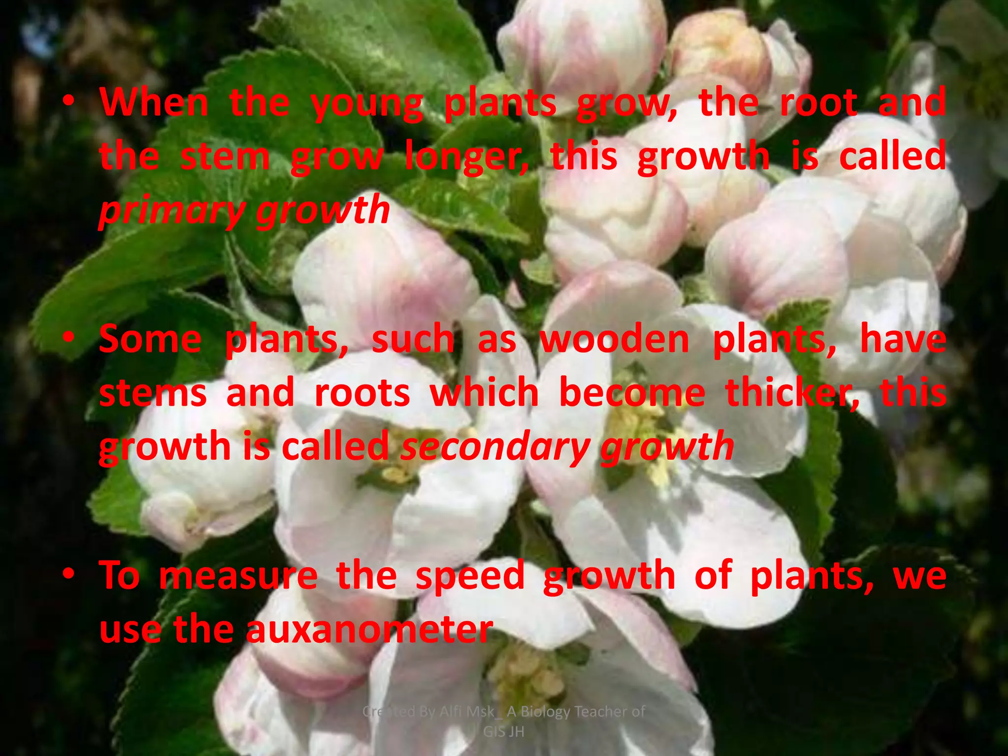 • When the young plants grow, the root and
  the stem grow longer, this growth is called
  primary growth

• Some plants, such as wooden plants, have
  stems and roots which become thicker, this
  growth is called secondary growth

• To measure the speed growth of plants, we
  use the auxanometer
               Created By Alfi Msk_ A Biology Teacher of
                                GIS JH
 