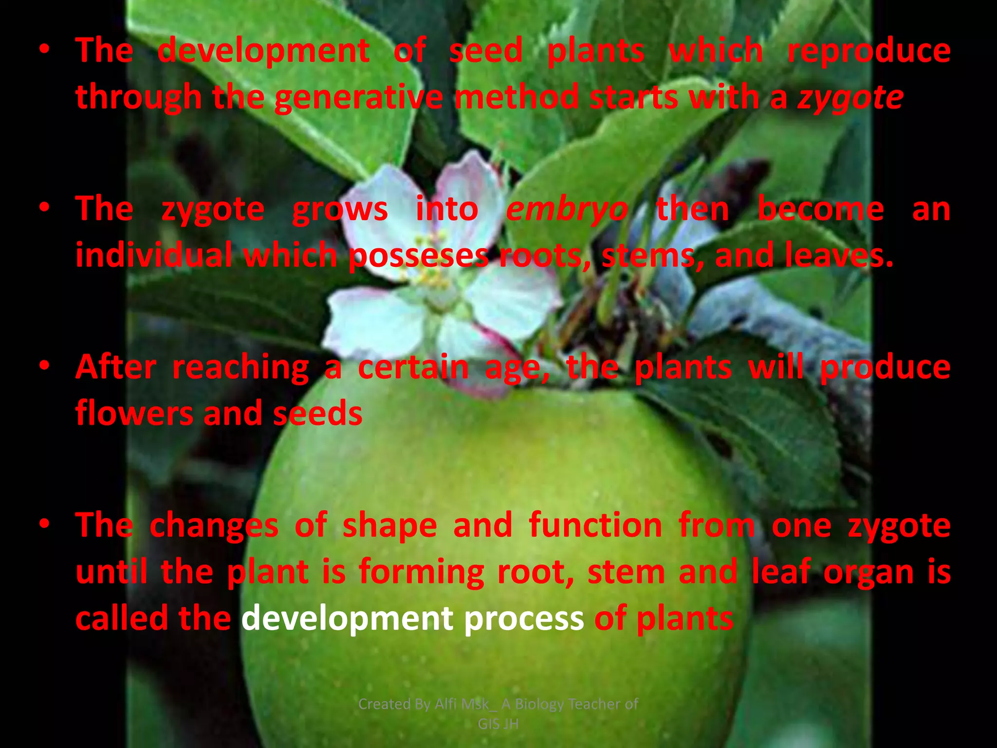 • The development of seed plants which reproduce
  through the generative method starts with a zygote

• The zygote grows into embryo then become an
  individual which posseses roots, stems, and leaves.

• After reaching a certain age, the plants will produce
  flowers and seeds

• The changes of shape and function from one zygote
  until the plant is forming root, stem and leaf organ is
  called the development process of plants

                    Created By Alfi Msk_ A Biology Teacher of
                                     GIS JH
 