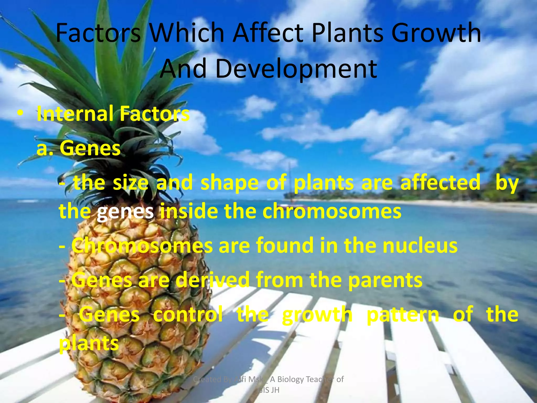 Factors Which Affect Plants Growth
           And Development
• Internal Factors
  a. Genes
     - the size and shape of plants are affected by
     the genes inside the chromosomes
     - Chromosomes are found in the nucleus
     - Genes are derived from the parents
     - Genes control the growth pattern of the
     plants
                 Created By Alfi Msk_ A Biology Teacher of
                                  GIS JH
 
