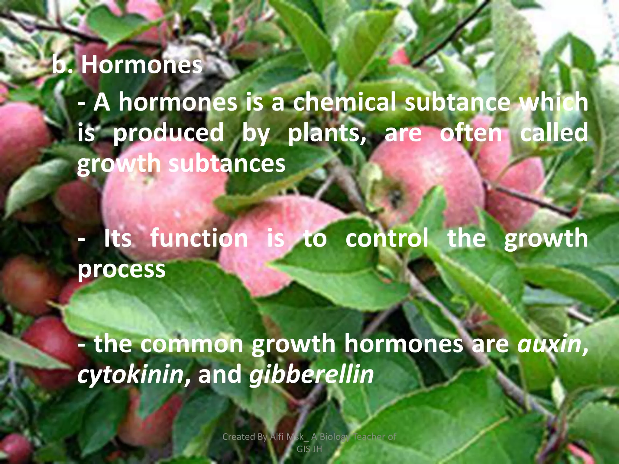 b. Hormones
  - A hormones is a chemical subtance which
  is produced by plants, are often called
  growth subtances

  - Its function is to control the growth
  process

  - the common growth hormones are auxin,
  cytokinin, and gibberellin

             Created By Alfi Msk_ A Biology Teacher of
                              GIS JH
 