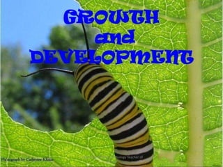 GROWTH
     and
DEVELOPMENT




   Created By Alfi Msk_ A Biology Teacher of
                    GIS JH
 