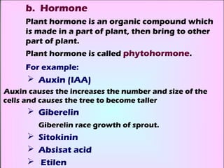 b. Hormone
     Plant hormone is an organic compound which
     is made in a part of plant, then bring to other
     part of plant.
     Plant hormone is called phytohormone.
     For example:
       Auxin (IAA)
Auxin causes the increases the number and size of the
cells and causes the tree to become taller
       Giberelin
         Giberelin race growth of sprout.
       Sitokinin
       Absisat acid
       Etilen
 