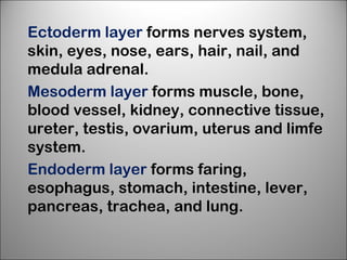 Ectoderm layer forms nerves system,
skin, eyes, nose, ears, hair, nail, and
medula adrenal.
Mesoderm layer forms muscle, bone,
blood vessel, kidney, connective tissue,
ureter, testis, ovarium, uterus and limfe
system.
Endoderm layer forms faring,
esophagus, stomach, intestine, lever,
pancreas, trachea, and lung.
 