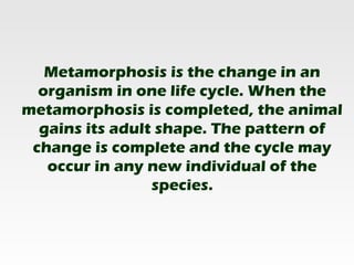 Metamorphosis is the change in an
  organism in one life cycle. When the
metamorphosis is completed, the animal
  gains its adult shape. The pattern of
 change is complete and the cycle may
   occur in any new individual of the
                 species.
 