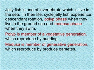 Jelly fish is one of invertebrate which is live in
the sea. In their life, cycle jelly fish experience
descendant rotation, polyp phase when they
live in the ground sea and medusa phase
when they swim.
Polyp is member of a vegetative generation,
which reproduce by budding.
Medusa is member of generative generation,
which reproduce by produce gametes.
 