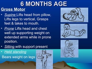6 MONTHS AGE6 MONTHS AGE
Gross Motor
• Supine Lifts head from pillow,
Lifts legs to vertical, Grasps
feet & takes to mouth.
• Prone Lifts head and chest
well up supporting weight on
extended arms while in prone
position.
• Sitting with support present
• Held standing
Bears weight on legs
 