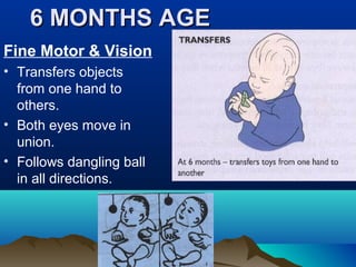 6 MONTHS AGE6 MONTHS AGE
Fine Motor & Vision
• Transfers objects
from one hand to
others.
• Both eyes move in
union.
• Follows dangling ball
in all directions.
 