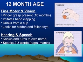 12 MONTH AGE12 MONTH AGE
Fine Motor & Vision
• Pincer grasp present (10 months)
• Imitates hand clapping.
• Drinks from a cup
• Looks for hidden and fallen toys.
Hearing & Speech
• Knows and turns to own name.
• Speaks 2-3 words (papa, mama)
 