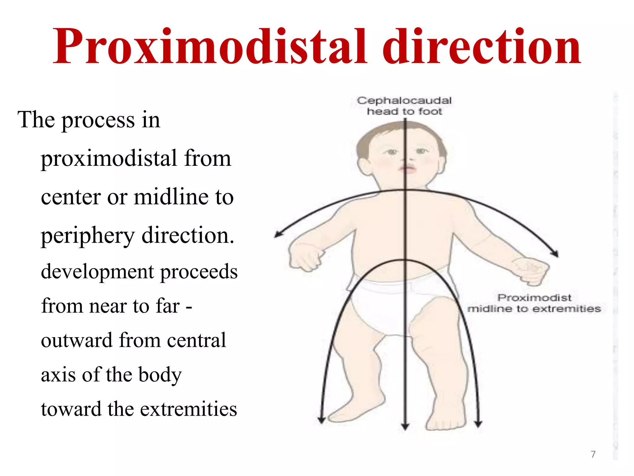 Proximodistal direction 
The process in 
proximodistal from 
center or midline to 
periphery direction. 
development proceeds 
from near to far - 
outward from central 
axis of the body 
toward the extremities 
7 
 