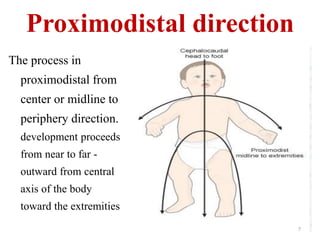 Proximodistal direction 
The process in 
proximodistal from 
center or midline to 
periphery direction. 
development proceeds 
from near to far - 
outward from central 
axis of the body 
toward the extremities 
7 
 