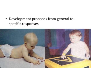 • Development proceeds from general to 
specific responses 
 