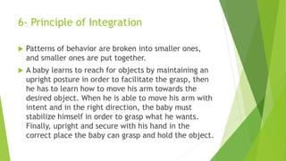 6- Principle of Integration
 Patterns of behavior are broken into smaller ones,
and smaller ones are put together.
 A baby learns to reach for objects by maintaining an
upright posture in order to facilitate the grasp, then
he has to learn how to move his arm towards the
desired object. When he is able to move his arm with
intent and in the right direction, the baby must
stabilize himself in order to grasp what he wants.
Finally, upright and secure with his hand in the
correct place the baby can grasp and hold the object.
 