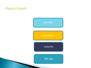 prenatal
postnatal
maturity
Old age
 