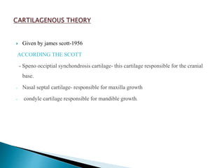  Given by james scott-1956
ACCORDING THE SCOTT
- Speno occiptial synchondrosis cartilage- this cartilage responsible for the cranial
base.
- Nasal septal cartilage- responsible for maxilla growth
- condyle cartilage responsible for mandible growth.
 