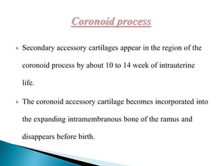  Secondary accessory cartilages appear in the region of the
coronoid process by about 10 to 14 week of intrauterine
life.
 The coronoid accessory cartilage becomes incorporated into
the expanding intramembranous bone of the ramus and
disappears before birth.
 