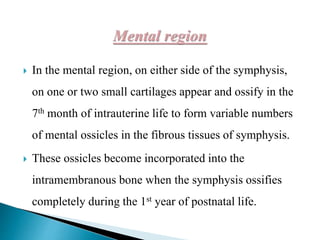  In the mental region, on either side of the symphysis,
on one or two small cartilages appear and ossify in the
7th month of intrauterine life to form variable numbers
of mental ossicles in the fibrous tissues of symphysis.
 These ossicles become incorporated into the
intramembranous bone when the symphysis ossifies
completely during the 1st year of postnatal life.
 