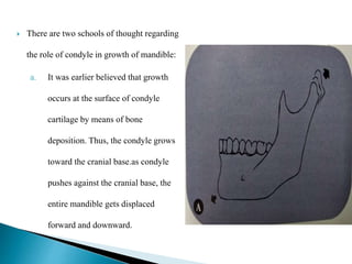  There are two schools of thought regarding
the role of condyle in growth of mandible:
a. It was earlier believed that growth
occurs at the surface of condyle
cartilage by means of bone
deposition. Thus, the condyle grows
toward the cranial base.as condyle
pushes against the cranial base, the
entire mandible gets displaced
forward and downward.
 