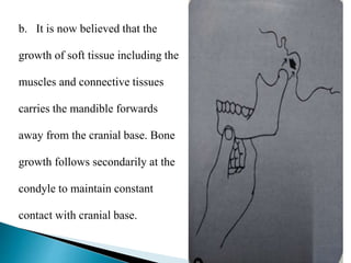 b. It is now believed that the
growth of soft tissue including the
muscles and connective tissues
carries the mandible forwards
away from the cranial base. Bone
growth follows secondarily at the
condyle to maintain constant
contact with cranial base.
 