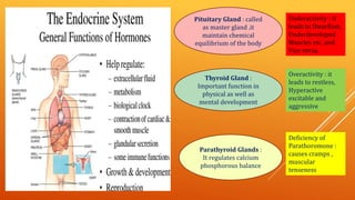 Pituitary Gland : called
as master gland .it
maintain chemical
equilibrium of the body
Underactivity : It
leads to Dwarfism,
Underdeveloped
Muscles etc. and
Vice versa.
Thyroid Gland :
Important function in
physical as well as
mental development
Overactivity : it
leads to restless,
Hyperactive
excitable and
aggressive
Parathyroid Glands :
It regulates calcium
phosphorous balance
Deficiency of
Parathoromone :
causes cramps ,
muscular
tenseness
 