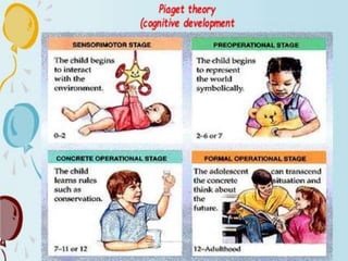 Growth and development