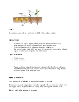 NOTE:
Germination occurs only in a seed which is viable (whose embryo is alive)
MERISTEMS
 Meristerms are regions in plants where growth and development takes place.
 Main meristems are located at the tip of shoot and at the tip of roots.
 Active cell division and cell elongation takes place in meristems.
 The growing region of the radicle and hence the root has three main regions, including
regions of cell division, elongation and differentiation.
Types of Meristems
1. Apical meristems
2. Lateral meristems
 Apical meristems bring about an increase in length and height of roots and shoots.
 Lateral meristems give rise to branches of shoot. Lateral meristems bring about the
increase in growth of the shoots and roots.
SEED DORMANCY
Seed dormancy is an inhibition of growth of an organism or part of it.
Some viable seeds will not germinate even when supplied with proper amounts of heat, water
and oxygen. This is the period of reduce activity during which growth does not occur.
Factors which bring about seeddormancy
 