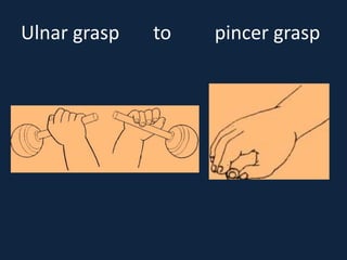 Ulna Raking Grasp Pattern GROWTH AND DEVELOPMENT..ppt