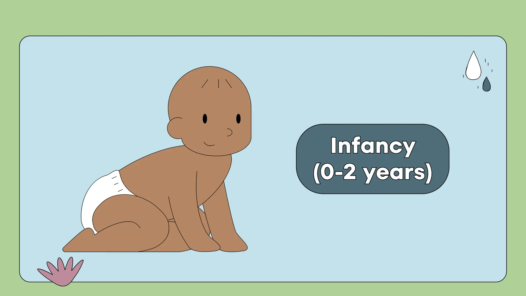 Infancy
(0-2 years)
Infancy
(0-2 years)
 
