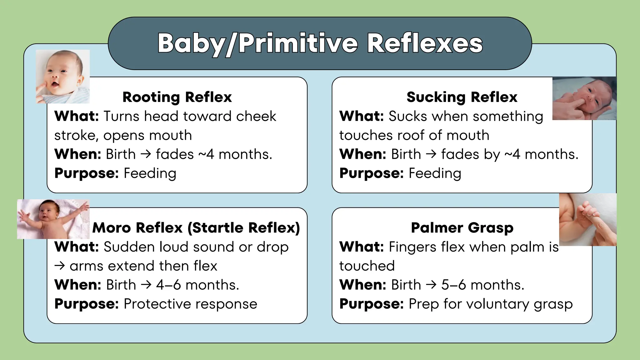 Baby/Primitive Reflexes
Baby/Primitive Reflexes
Rooting Reflex
What: Turns head toward cheek
stroke, opens mouth
When: Birth → fades ~4 months.
Purpose: Feeding
Sucking Reflex
What: Sucks when something
touches roof of mouth
When: Birth → fades by ~4 months.
Purpose: Feeding
Moro Reflex (Startle Reflex)
What: Sudden loud sound or drop
→ arms extend then flex
When: Birth → 4–6 months.
Purpose: Protective response
Palmer Grasp
What: Fingers flex when palm is
touched
When: Birth → 5–6 months.
Purpose: Prep for voluntary grasp
 