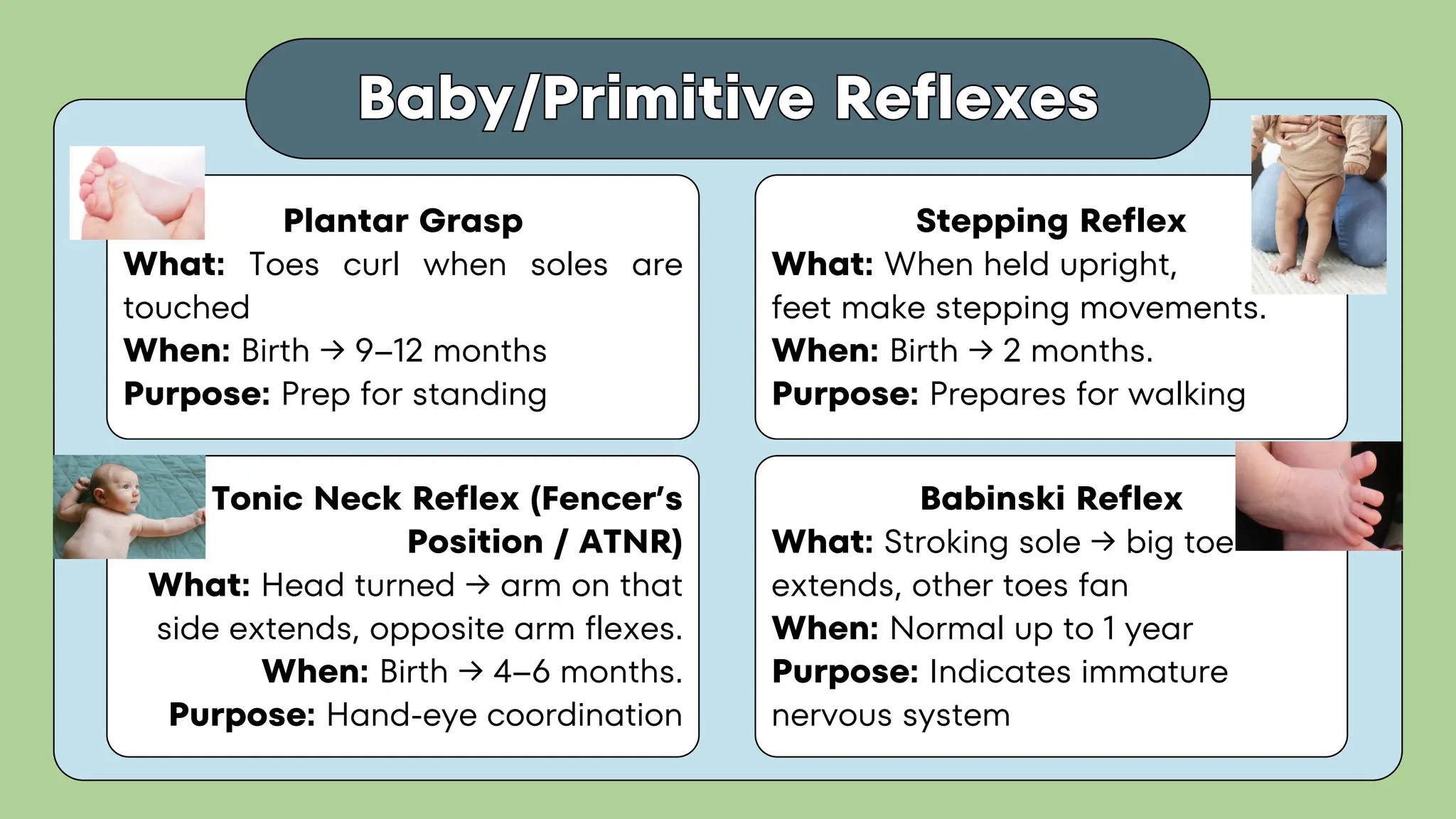 Baby/Primitive Reflexes
Baby/Primitive Reflexes
Plantar Grasp
What: Toes curl when soles are
touched
When: Birth → 9–12 months
Purpose: Prep for standing
Babinski Reflex
What: Stroking sole → big toe
extends, other toes fan
When: Normal up to 1 year
Purpose: Indicates immature
nervous system
Tonic Neck Reflex (Fencer’s
Position / ATNR)
What: Head turned → arm on that
side extends, opposite arm flexes.
When: Birth → 4–6 months.
Purpose: Hand-eye coordination
Stepping Reflex
What: When held upright,
feet make stepping movements.
When: Birth → 2 months.
Purpose: Prepares for walking
 