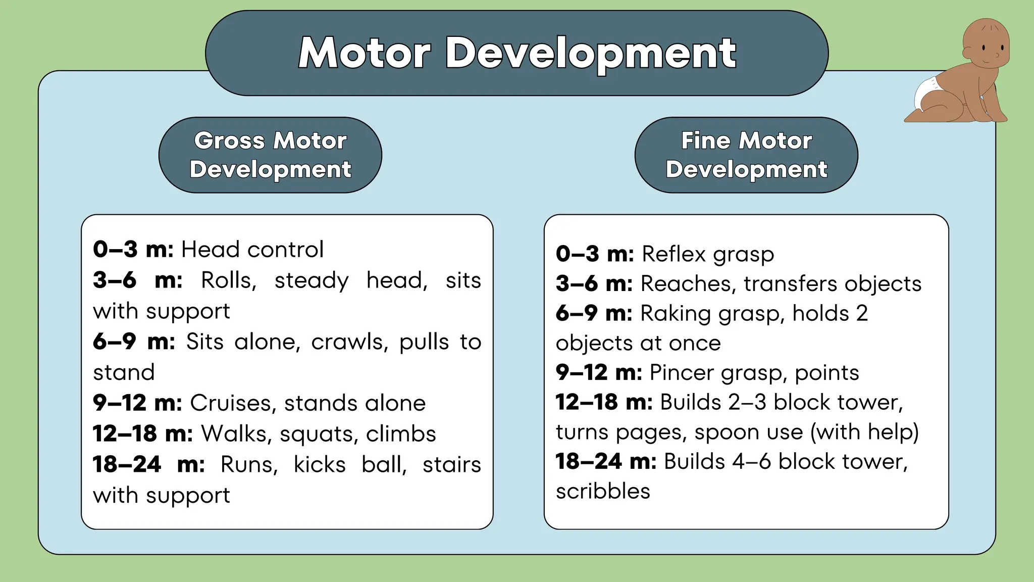 Motor Development
Motor Development
0–3 m: Head control
3–6 m: Rolls, steady head, sits
with support
6–9 m: Sits alone, crawls, pulls to
stand
9–12 m: Cruises, stands alone
12–18 m: Walks, squats, climbs
18–24 m: Runs, kicks ball, stairs
with support
Gross Motor
Development
Gross Motor
Development
Fine Motor
Development
Fine Motor
Development
0–3 m: Reflex grasp
3–6 m: Reaches, transfers objects
6–9 m: Raking grasp, holds 2
objects at once
9–12 m: Pincer grasp, points
12–18 m: Builds 2–3 block tower,
turns pages, spoon use (with help)
18–24 m: Builds 4–6 block tower,
scribbles
 