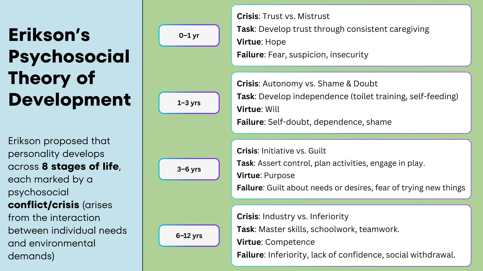 Crisis: Trust vs. Mistrust
Task: Develop trust through consistent caregiving
Virtue: Hope
Failure: Fear, suspicion, insecurity
Crisis: Autonomy vs. Shame & Doubt
Task: Develop independence (toilet training, self-feeding)
Virtue: Will
Failure: Self-doubt, dependence, shame
0–1 yr
1–3 yrs
Erikson’s
Psychosocial
Theory of
Development
Erikson proposed that
personality develops
across 8 stages of life,
each marked by a
psychosocial
conflict/crisis (arises
from the interaction
between individual needs
and environmental
demands)
6–12 yrs
3–6 yrs
Crisis: Initiative vs. Guilt
Task: Assert control, plan activities, engage in play.
Virtue: Purpose
Failure: Guilt about needs or desires, fear of trying new things
Crisis: Industry vs. Inferiority
Task: Master skills, schoolwork, teamwork.
Virtue: Competence
Failure: Inferiority, lack of confidence, social withdrawal.
 
