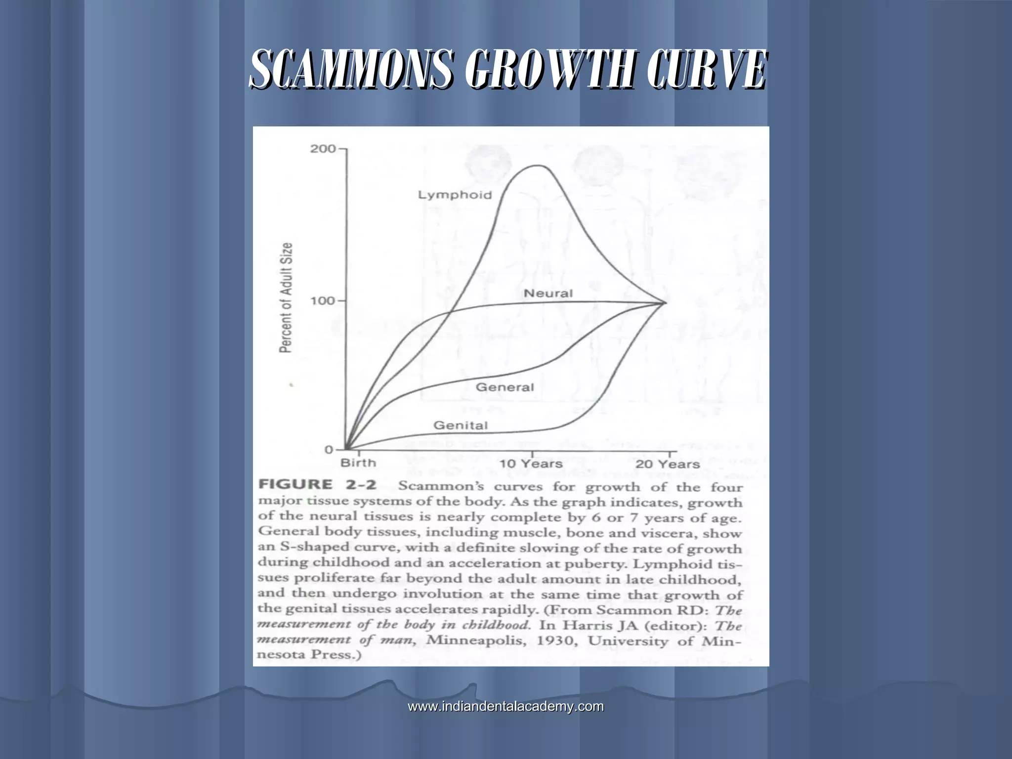 SCAMMONS GROWTH CURVESCAMMONS GROWTH CURVE
www.indiandentalacademy.comwww.indiandentalacademy.com
 